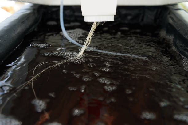 istock root of melon tree in the water bin of hydroponics system 1281642037