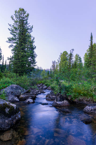 istock Taiga. Siberia. Mountain stream.  Photograph with long shutter speed. 1281642375