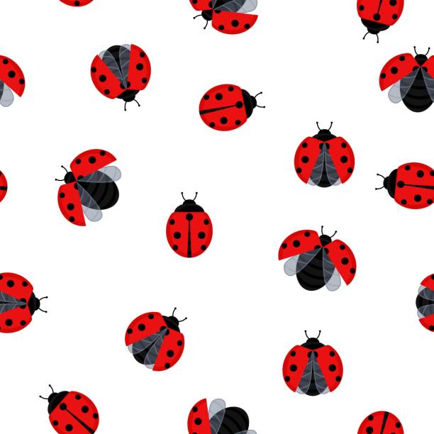 illustrazioni stock, clip art, cartoni animati e icone di tendenza di coccinella senza soluzione di continuità modello sfondo scarabeo insetto. illustrazione vettoriale - ladybug