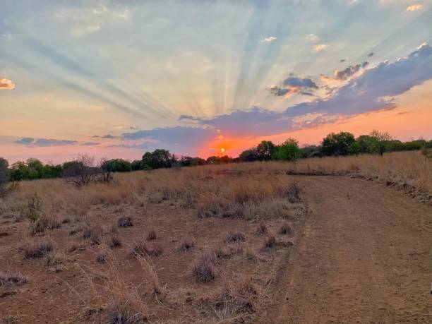 istock The African Sunset Road 1281646768