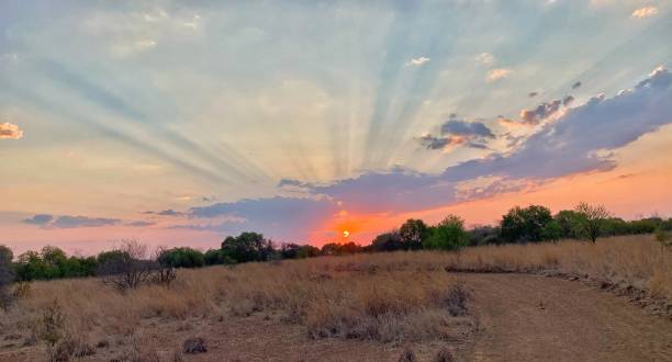 istock The African Sunset Road 2 1281646780