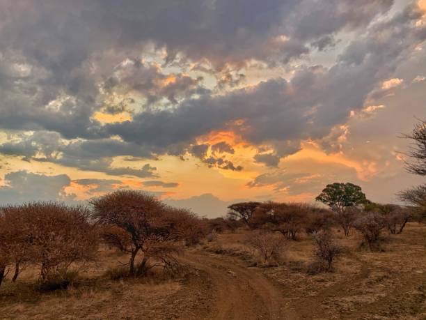 istock Late Afternoon Sunset Scene in Africa 1281648244