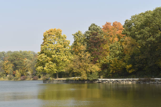 istock Autumn Trees along Herrick Lake 1281649492