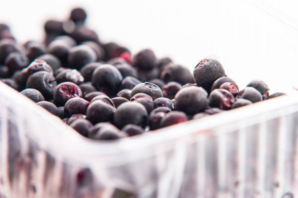 frozen blueberry macro shot on white