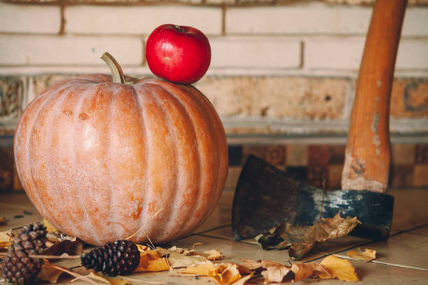 istock Round pumpkin and apple lie on shelf 1281654326