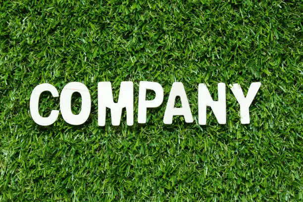 Photo of Wood alphabet letter in word company on artificial green grass background