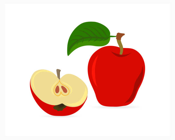 ilustraciones, imágenes clip art, dibujos animados e iconos de stock de icono de manzana doodle aislado en blanco. fruta, niños dibujando manzana. ilustración de stock vectorial. eps 10 - apple sign food silhouette