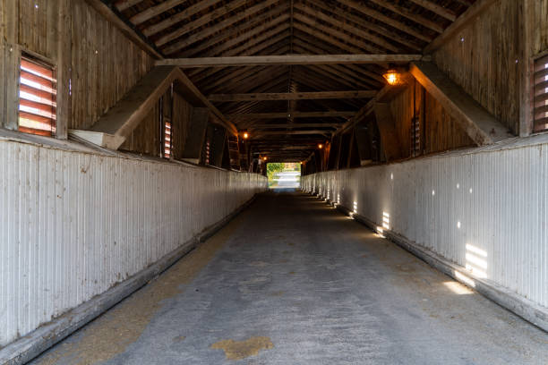 istock West Montrose Covered Bridge (Kissing Bridge), Ontario, Canada 1281663030
