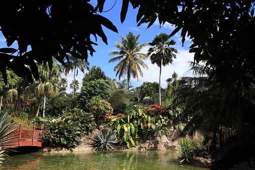 Guadeloupe - Caribbean vacation destination. Botanical Garden in Deshaies.