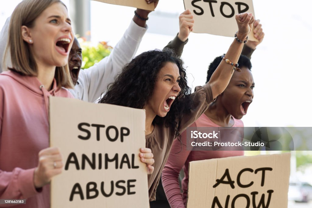 International Group Of Strikers With Banners Defending Animal Rights Stock  Photo - Download Image Now - iStock