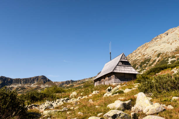 wooden mountain hut on a glade in five polish ponds valley in tatra mountains, poland. - poland rural scene scenics pasture imagens e fotografias de stock