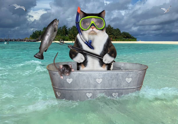 istock Cat hunter in washtub caught fish 1281666067