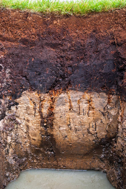Soil profile of a Histosol in northwestern Germany near lake Duemmer Soil profile of a Histosol in the bog Ochsenmoor near lake Duemmer in northwestern Germany Peat stock pictures, royalty-free photos & images
