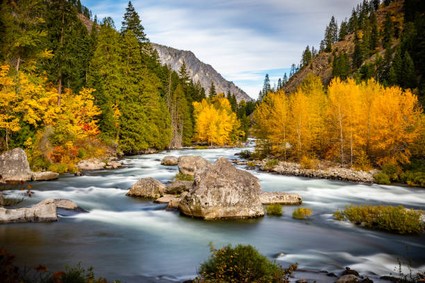 Fall colors on Wenatchee river Fall colors on Wenatchee river, Leavenworth, Washington washington state stock pictures, royalty-free photos & images