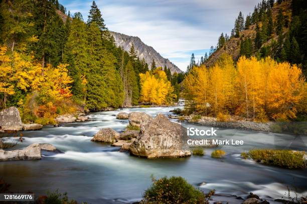 Fall Colors On Wenatchee River Stock Photo - Download Image Now - Washington State, Autumn, Landscape - Scenery