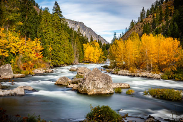 осенние цвета на реке веначи - cascade range стоковые фото и изображения