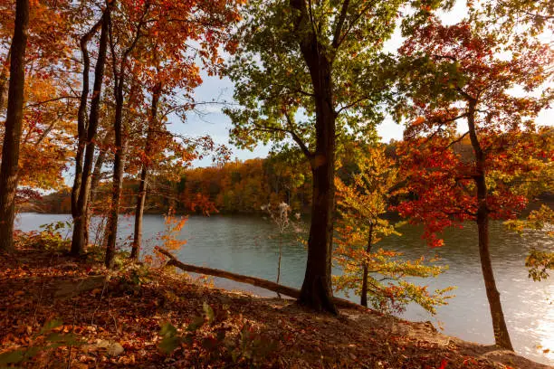 Photo of A scenic autumn landscape at Black Hill Regional Park, Maryland featuring a lake surrounded by a thick forest.
