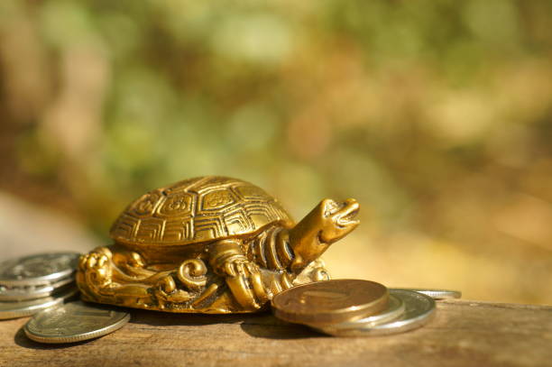 istock Metal turtle with coins on a natural background. 1281670517