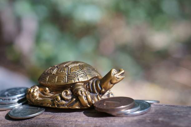 istock Metal turtle with coins on a natural background. 1281670575