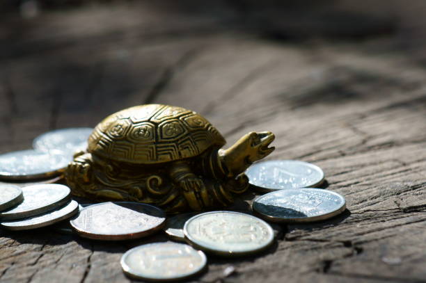 istock Metal turtle with coins on a natural background. 1281670585