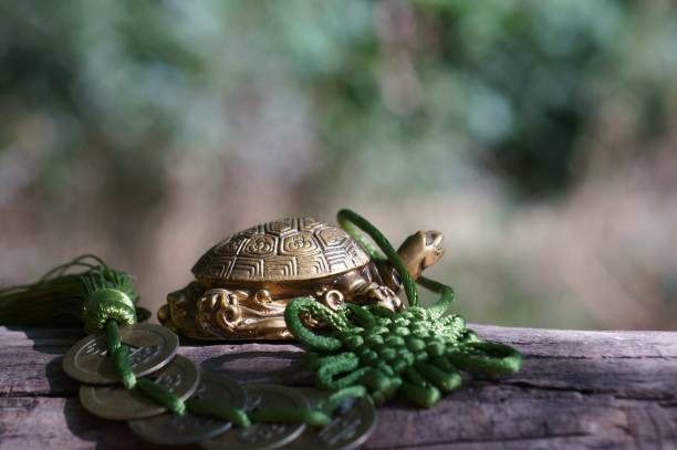 istock Symbol of wisdom. 1281670642