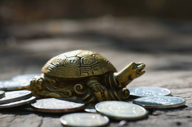 istock Metal turtle with coins on a natural background. 1281670656