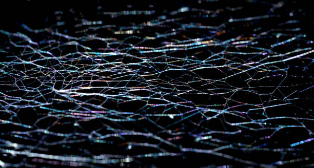 istock Concept of Network, Internet communication and Neural network. Glowing spider web 1281672950