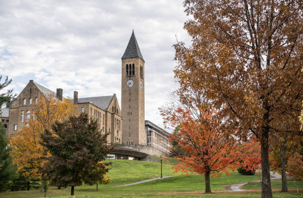 McGraw Clock Tower, Cornell University Ithaca, New York, USA- October 18, 2020: McGraw Clock Tower, Cornell University Campus graw stock pictures, royalty-free photos & images