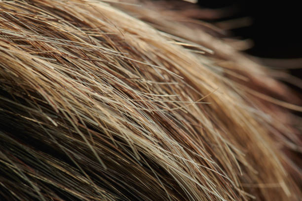 Healthy light color hair background macro close up view