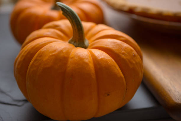 Colorful pumpkins and pumpkin pie on grey slate surface.