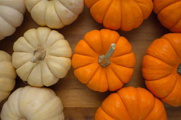 istock Beautiful orange mini pumpkins on wood board 1281683059