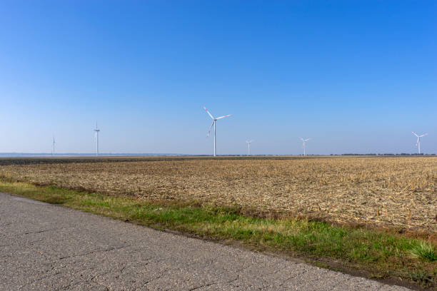 Field with windmills near the road stock photo