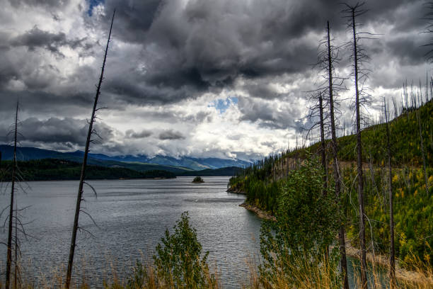 850_6520 - flathead national forest ストックフォトと画像