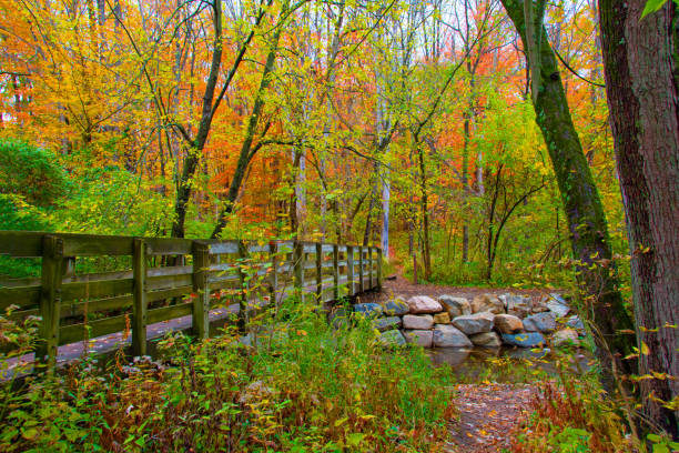 istock Foot Bridge over a small stream-Hamilton County Indiana 1281689045
