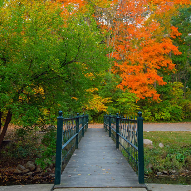 istock Walking bridge and fall colors-Howard County Indiana 1281689390