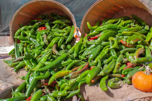 Hatch Valley green chili peppers overflow from baskets in Albuquerque