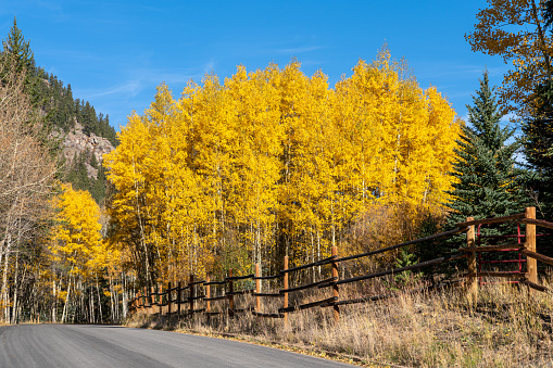 Beautiful fall colors Rocky Mountains