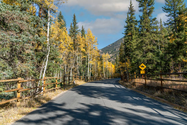 istock Beautiful fall colors Rocky Mountains 1281692880