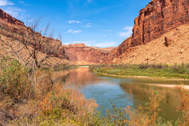 istock Colorado River Southwest Utah Landscape near Moab 1281693640