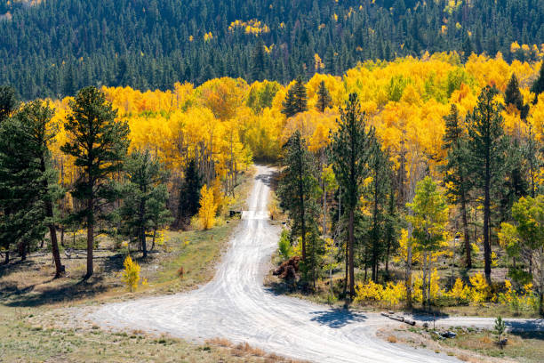 istock Beautiful fall colors Rocky Mountains 1281693924