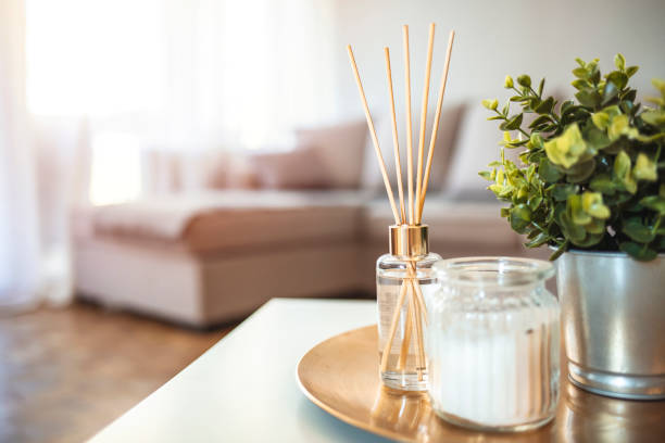 Decoration, hygge and aromatherapy concept Decoration, hygge and aromatherapy concept - Aroma reed diffuser, burning candle, branches of green plant and perfume on table at home. Scent sticks aromatic in jar on table home diffuser stock pictures, royalty-free photos & images