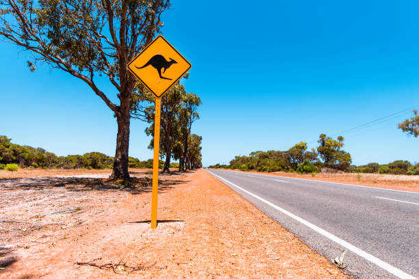 istock Iconic yellow sign with kangaroo on Australian road 1281698440