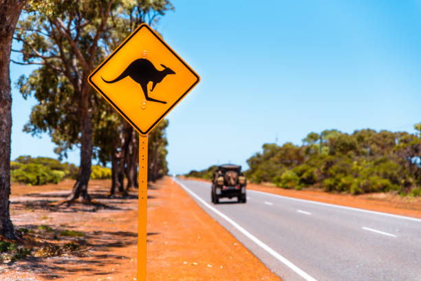new yellow kangaroo warning sign