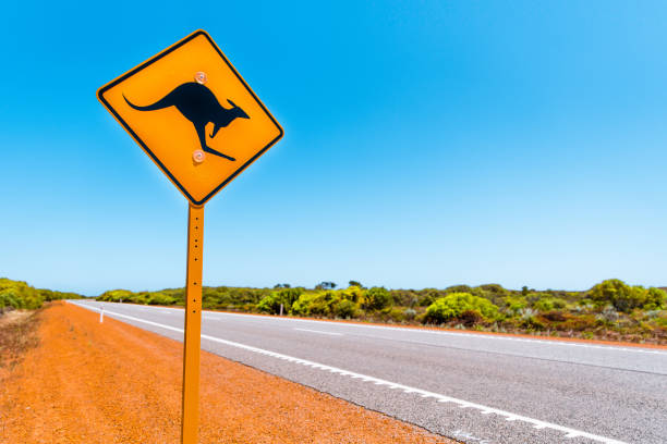 Iconic yellow sign with kangaroo on Australian road Yellow kangaroo sign on Australian country road. Warning sign for kangaroos crossing the road kangaroo crossing sign stock pictures, royalty-free photos & images