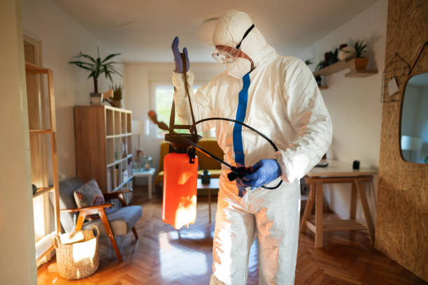 istock Man in protective suit with protective glasses and face mask preparing to sanitize household 1281699884