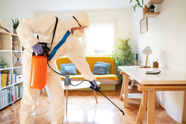 istock Professional worker for cleaning and disinfecting is spraying working table in the house 1281699890