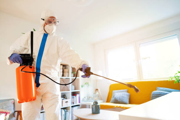 istock Man in protective suit, protective gloves and glasses with face mask on is spraying and disinfecting house 1281699897