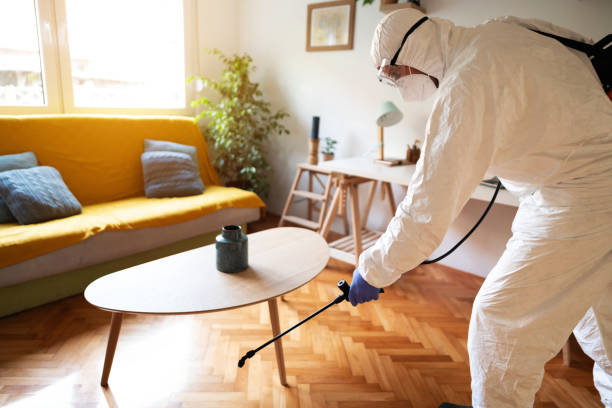 istock Professional worker for disinfection is sanitizing floor in the house 1281699912