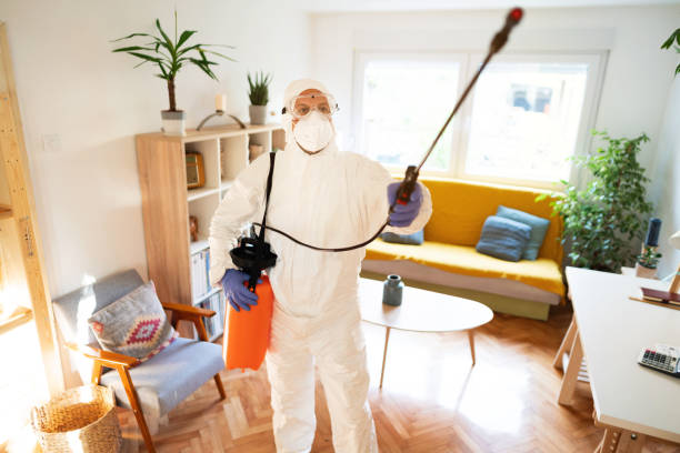 istock Sanitation worker in protective suit sanitizing household 1281699920