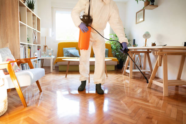 istock Unrecognizable man with manual sanitizing pump disinfect floor 1281699925
